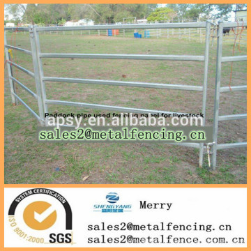 clôture de tuyau métallique à faible coût pour le paddock de bétail utilisé rails panneau de clôture